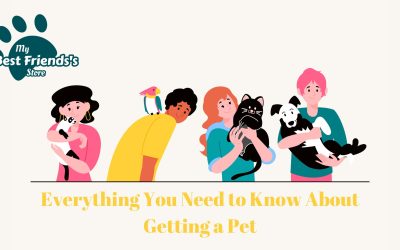 Everything You Need to Know About Getting a Pet